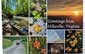 Exclusive Local Postcards