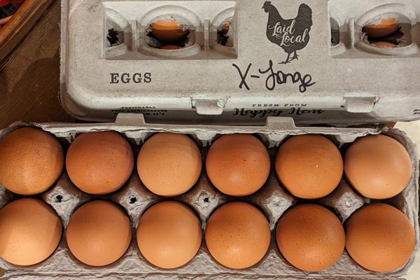 Farm-Fresh Eggs