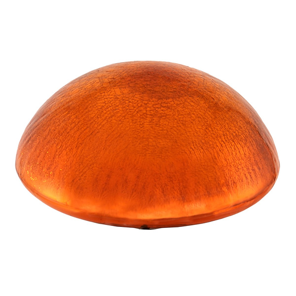 Achla TS-M-C Mandarin Toadstool