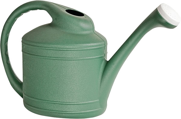 Southern Patio WC8108FE Watering Can