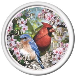 Taylor 6733 Cardinal Bunting Thermometer