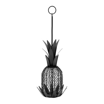 Achla VBF-01 Pineapple Bird Feeder