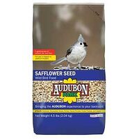 Bird Food