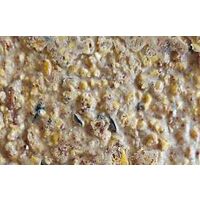 Heath DDC1-12 Crafted Suet Wild Bird Seed Cake