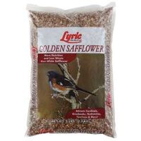 Lyric 26-47430 Bird Food