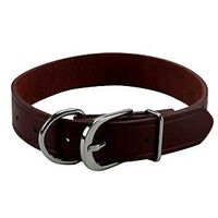 Pet Collars