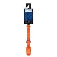 Casual Canine ZM2391 10 69 Dog Collar