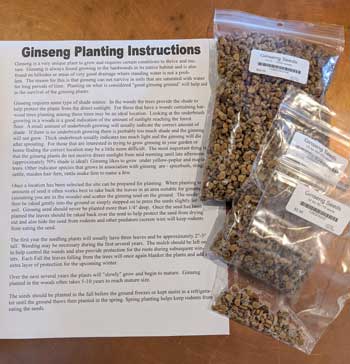 American Ginseng Seeds