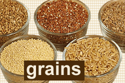 Grains